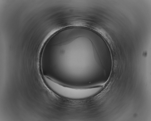 X0000097861331200803281303