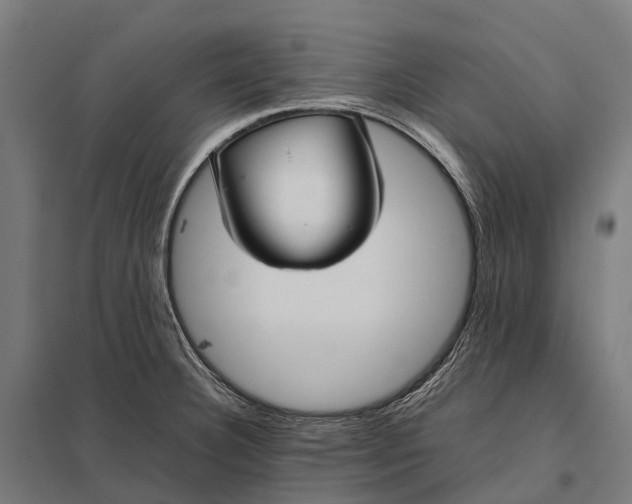 X0000097861332200803281303