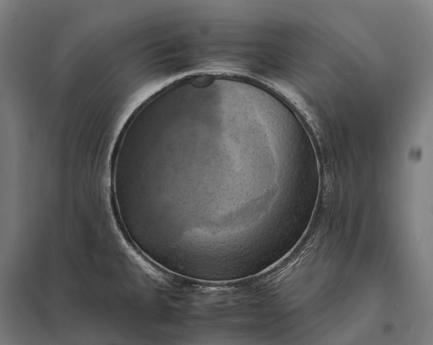 X0000097861335200803281303