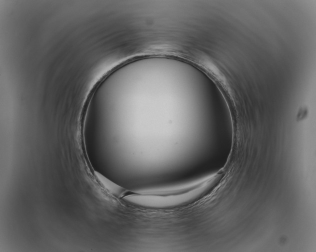 X0000097861336200803281303