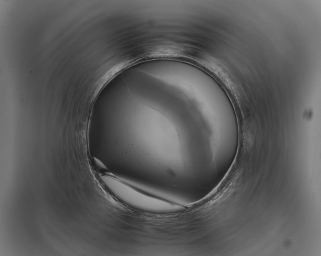 X0000097861337200803281303