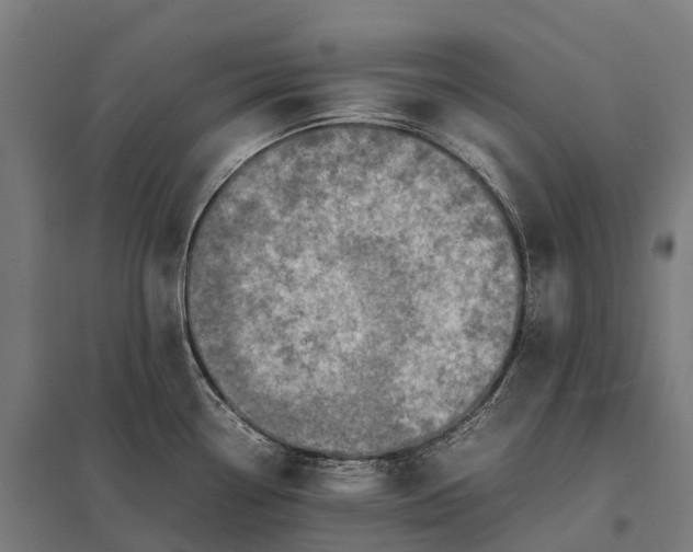 X0000097861338200803281303