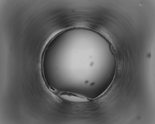 X0000097861339200803281303