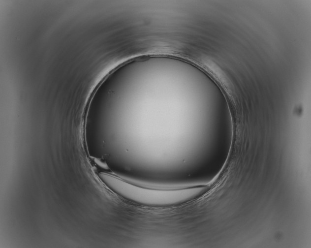 X0000097861340200803281303