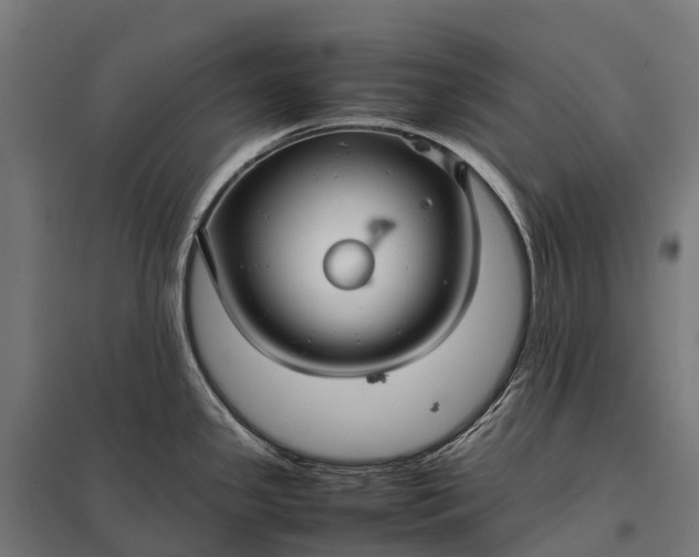 X0000097861341200803281303