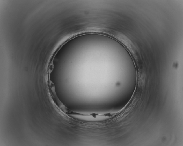 X0000097861342200803281303