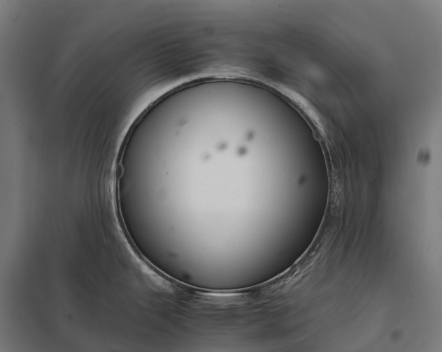 X0000097861343200803281303