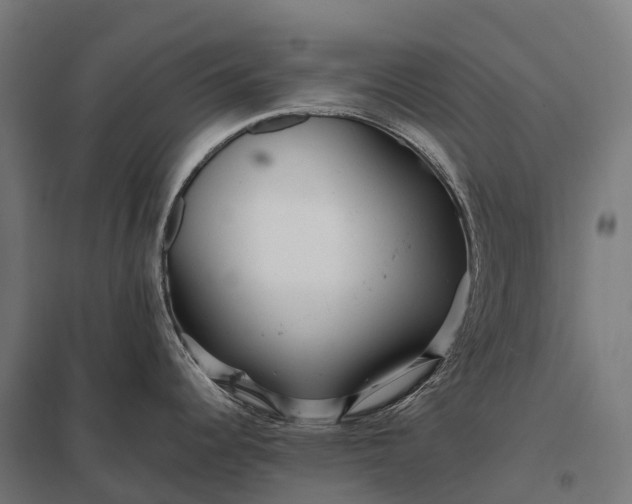 X0000097861344200803281303