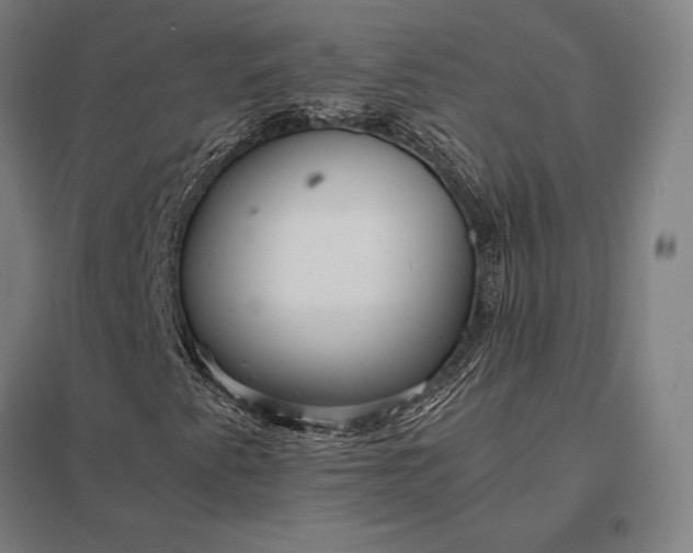 X0000097861345200803281303