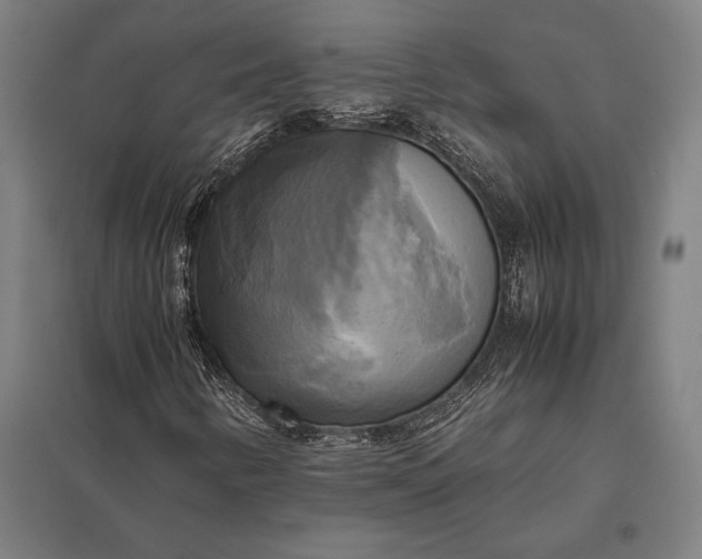 X0000097861346200803281303