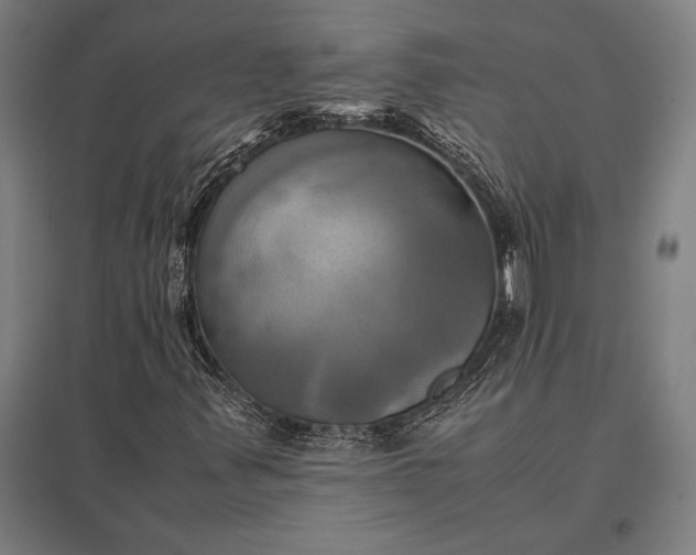 X0000097861347200803281303