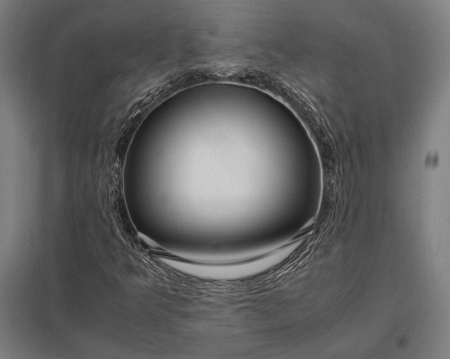 X0000097861349200803281303