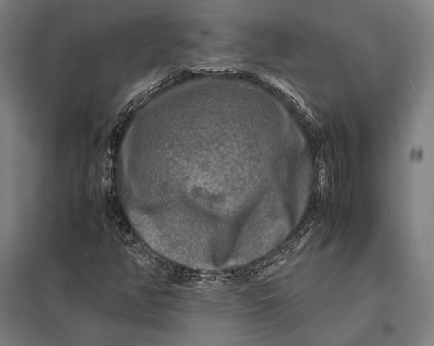 X0000097861350200803281303