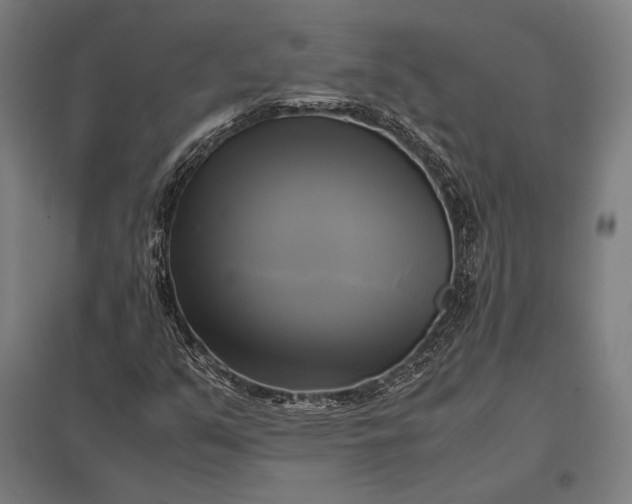 X0000097861351200803281303