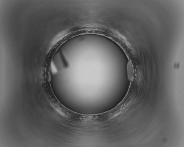 X0000097861352200803281303