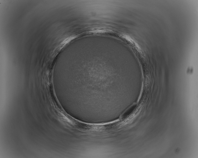 X0000097861353200803281302