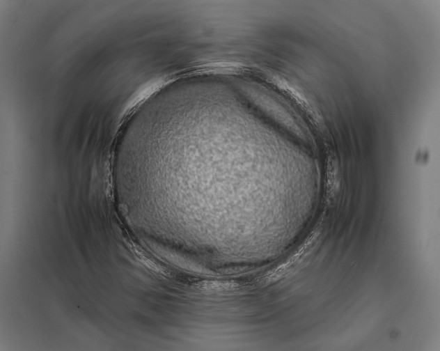 X0000097861354200803281302