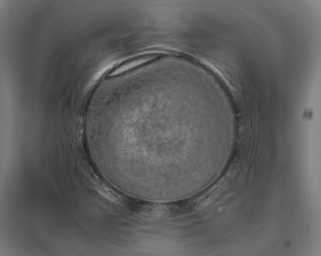 X0000097861355200803281302