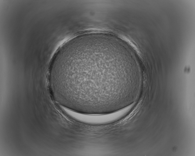 X0000097861357200803281302