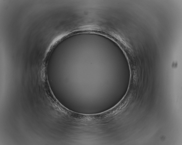 X0000097861358200803281302