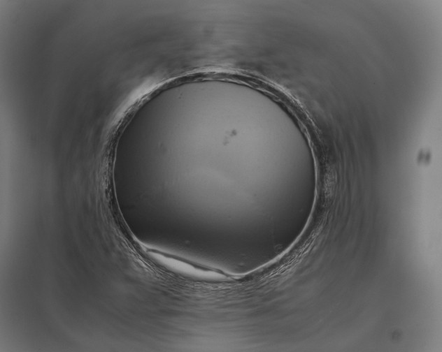 X0000097861359200803281302