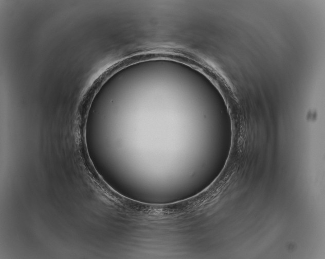 X0000097861360200803281302