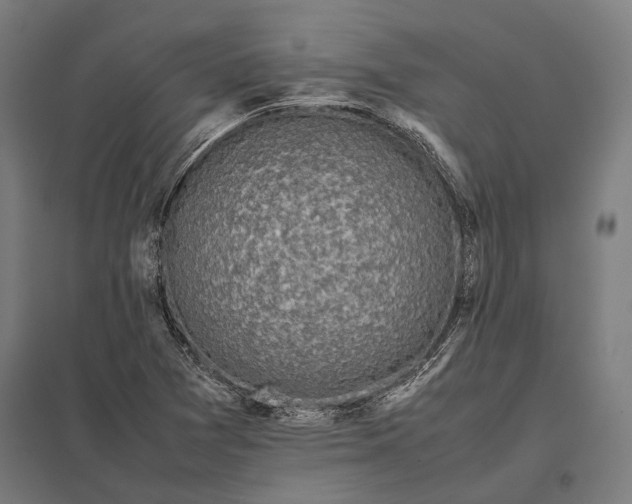 X0000097861361200803281302