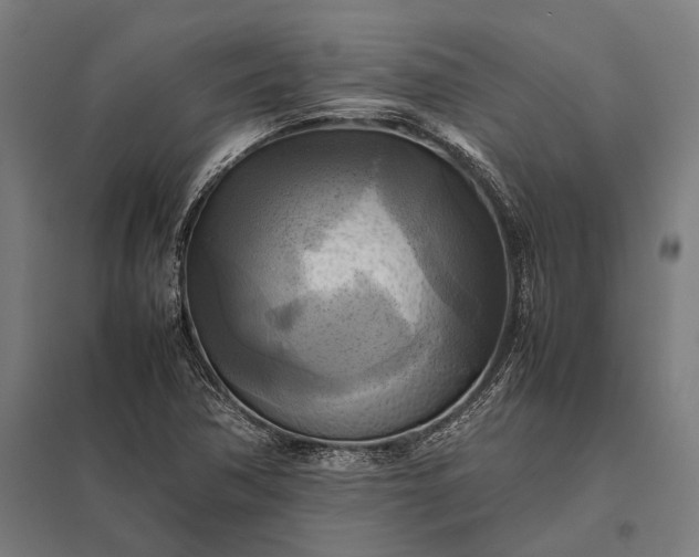 X0000097861362200803281302