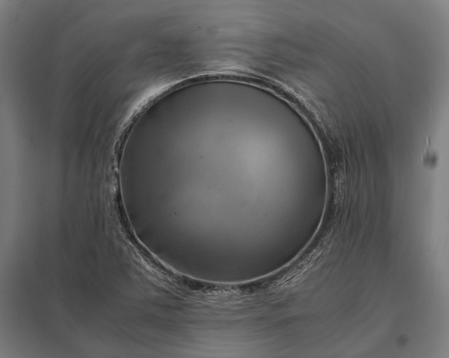 X0000097861363200803281302