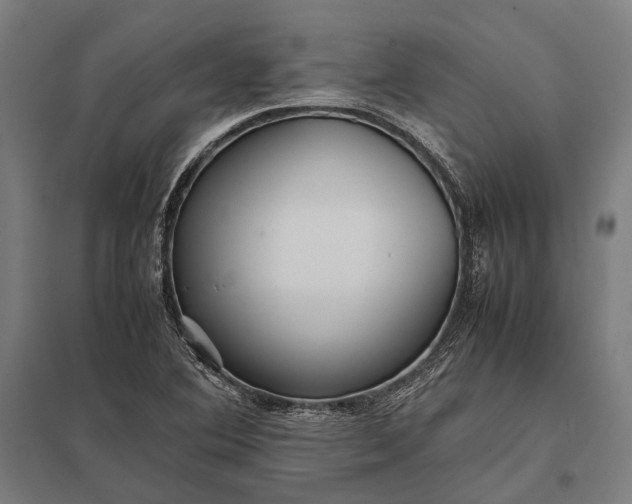 X0000097861364200803281302