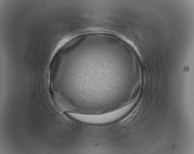 X0000097861365200803281302