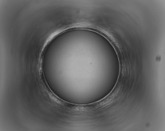 X0000097861366200803281302