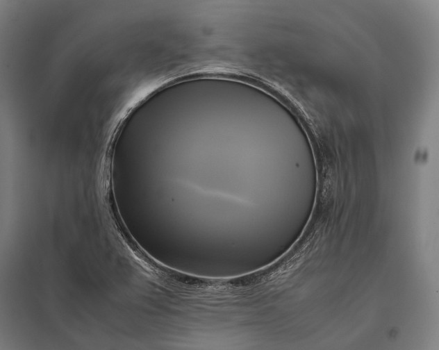 X0000097861367200803281302