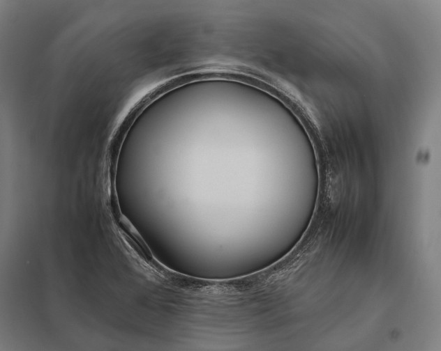 X0000097861368200803281302