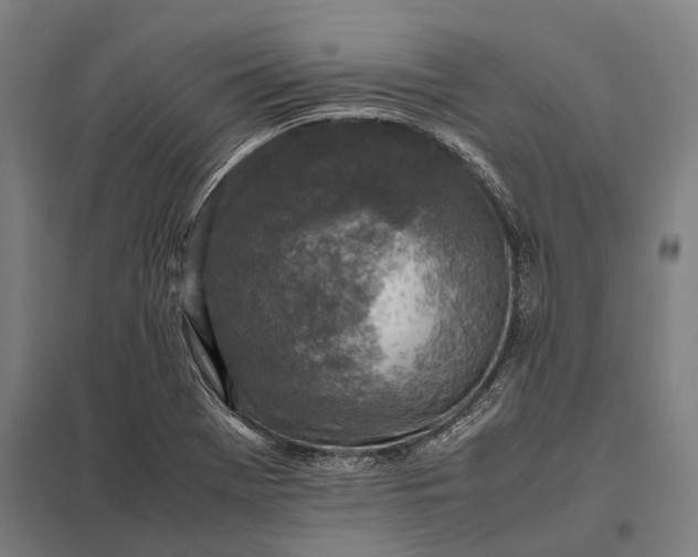 X0000097861369200803281302