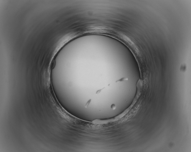 X0000097861370200803281302