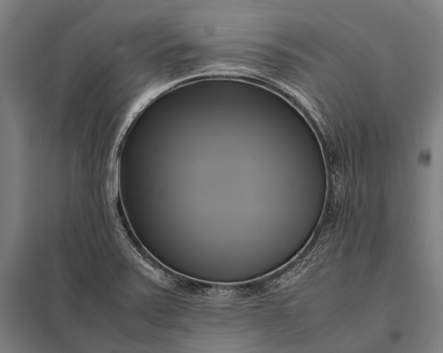 X0000097861371200803281302