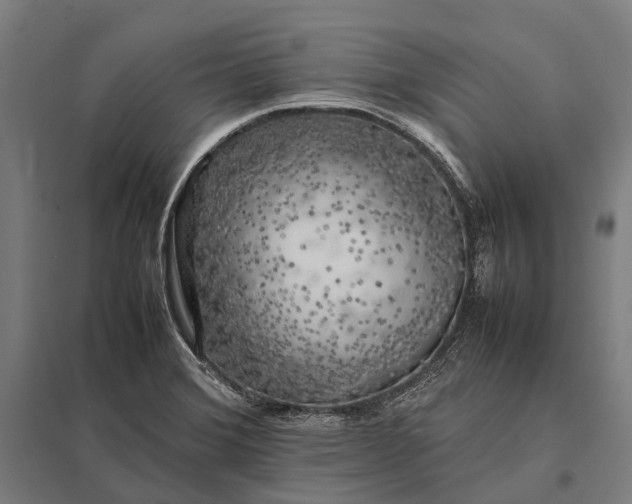 X0000097861372200803281302