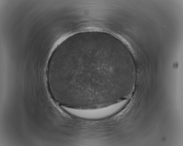 X0000097861373200803281302