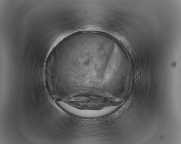 X0000097861374200803281302