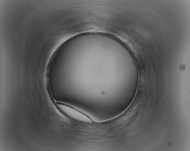 X0000097861375200803281302