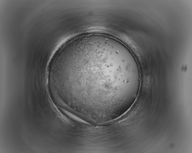 X0000097861376200803281302