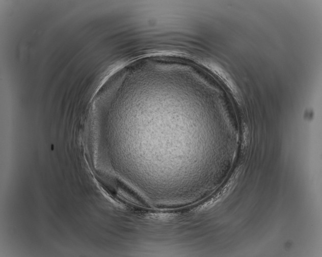 X0000097861377200803281302