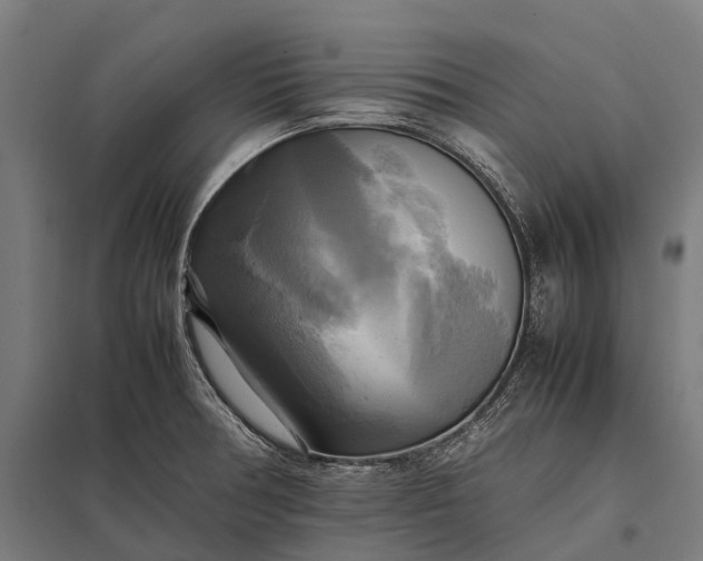 X0000097861378200803281302