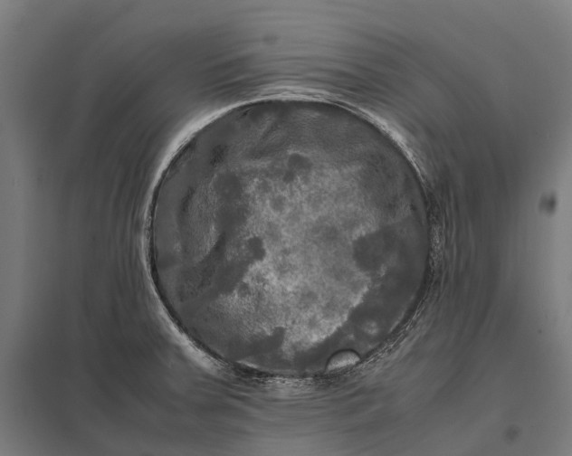 X0000097861379200803281302