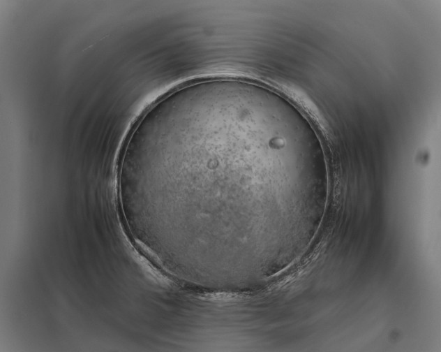 X0000097861380200803281302