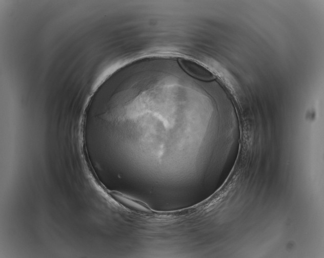 X0000097861382200803281302