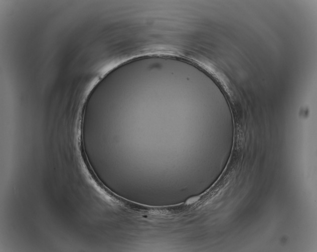 X0000097861383200803281302