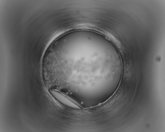 X0000097861384200803281302