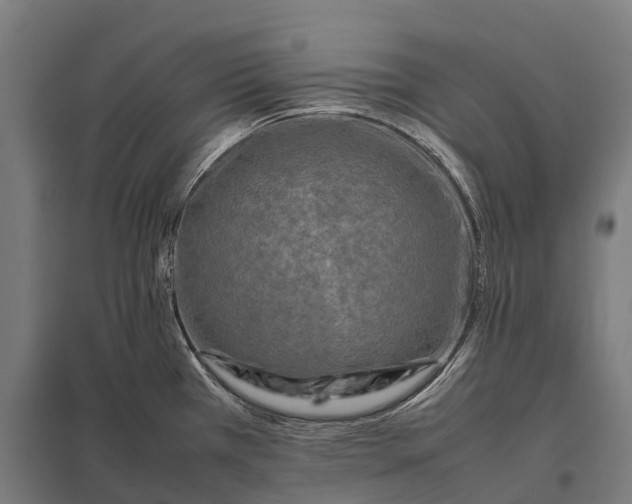 X0000097861385200803281302